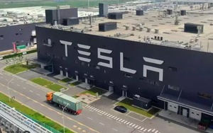 Nhà máy Tesla tại Thượng Hải phục hồi sản lượng hàng tuần được 70%
