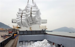 Doanh nghiệp cần lưu ý gì khi xuất khẩu gạo sang thị trường ASEAN