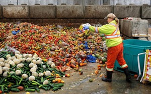 Bất chấp nạn đói, thế giới vẫn lãng phí gần 1 tỷ tấn thực phẩm mỗi năm  