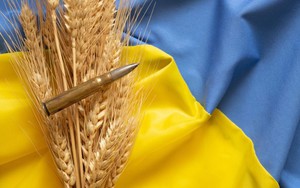 Gần đến vụ thu hoạch, vấn đề xuất khẩu lúa mì của Ukraina lại 'nóng' lên