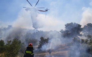 Cháy rừng kinh hoàng do nắng nóng ở châu Âu