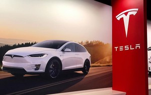 Tesla triệu hồi 1,1 triệu xe vì lỗi cửa sổ