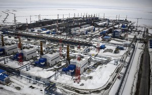 Việc áp 'giá trần' lên dầu Nga của G7 liệu có phản tác dụng?