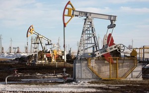 Ấn Độ có khả năng từ chối tham gia áp đặt giới hạn giá dầu của Nga