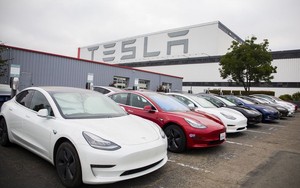 Tesla giảm giá xe điện trên thị trường Mỹ  
