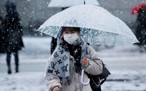 Nhật Bản: Tuyết rơi dày làm gián đoạn giao thông, nhiều tuyến đường bị đóng cửa