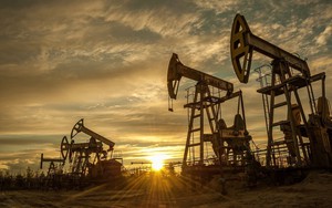 Giá dầu thô tương đối ổn định