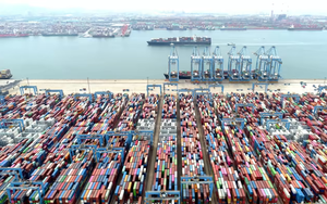 Việt Nam, Đài Loan tăng thị phần xuất khẩu sang Mỹ 