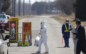 Dịch cúm gia cầm tồi tệ đến mức Nhật Bản hết đất để chôn gà
