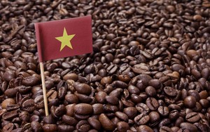 Cà phê Việt: Thách thức vùng giá mới