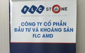 Thêm cổ phiếu thuộc hệ sinh thái FLC rời sàn