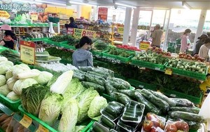 GDP của Việt Nam tăng 3,72% trong 6 tháng đầu năm 2023