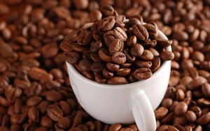 Dự báo giá cà phê robusta tiếp tục tăng
