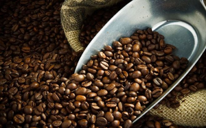 Giá cà phê có thể trái chiều sau dự báo nguồn cung tại Brazil của USDA