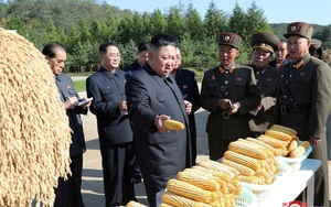Triều Tiên vật lộn với tình trạng thiếu lương thực dù nhập khẩu phục hồi