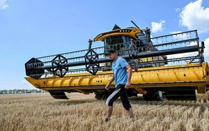Giá lúa mì tăng sau Nga khi đình chỉ thoả thuận xuất khẩu ngũ cốc với Ukraina