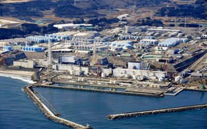 Nhật Bản nhận phán quyết quan trọng của Liên hợp quốc về xả nước ở Fukushima