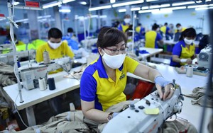 PMI tháng 7 tăng điểm, ngành sản xuất Việt Nam đã có dấu hiệu ổn định