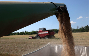 Vận chuyển ngũ cốc 'đắt đỏ' từ Ukraina đe dọa nguồn cung lương thực của châu Á