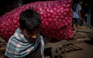 Cà chua và hành tây: Kẻ thù trong cuộc chiến chống... lạm phát tại Ấn Độ