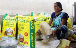 Ấn Độ bất ngờ áp thuế xuất khẩu 20% đối với gạo đồ