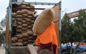 Ấn Độ thắt chặt hơn nữa xuất khẩu gạo, đe dọa nguồn cung toàn cầu