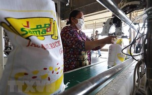 Giá gạo 5% tấm của Việt Nam giảm xuống mức thấp nhất trong một tháng