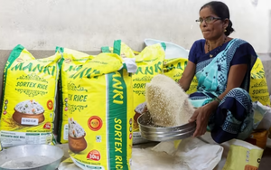 Thị trường gạo châu Á: 4 điều cần biết sau lệnh cấm xuất khẩu của Ấn Độ