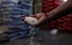 Lo ngại lạm phát thực phẩm gia tăng tại châu Á
