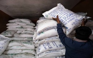Xuất khẩu đường của Ấn Độ có thể giảm một nửa do sản lượng thấp