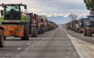 Nông dân biểu tình khắp châu Âu, phản đối nông sản nhập khẩu giá rẻ