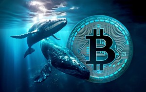 Cá voi Bitcoin mới xuất hiện trong thế giới doanh nghiệp