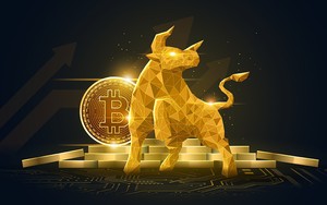 Vì sao giá Bitcoin phục hồi?