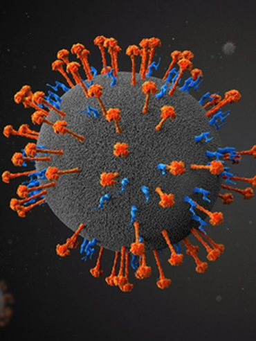 Trung Quốc phát hiện loại virus mới, lây truyền từ động vật, đã có 35 người nhiễm