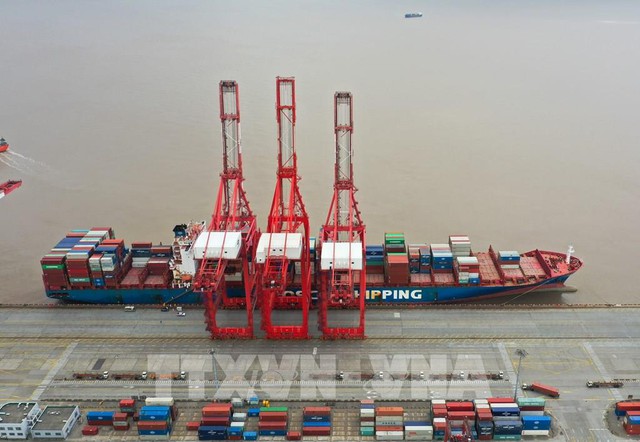 Cảnh báo tình hình tắc nghẽn tại cảng Thượng Hải, Trung Quốc - Ảnh 2.