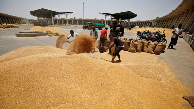 Các nhà nhập khẩu lúa mì ở châu Á tìm nguồn cung sau lệnh cấm xuất khẩu của Ấn Độ - Ảnh 1.