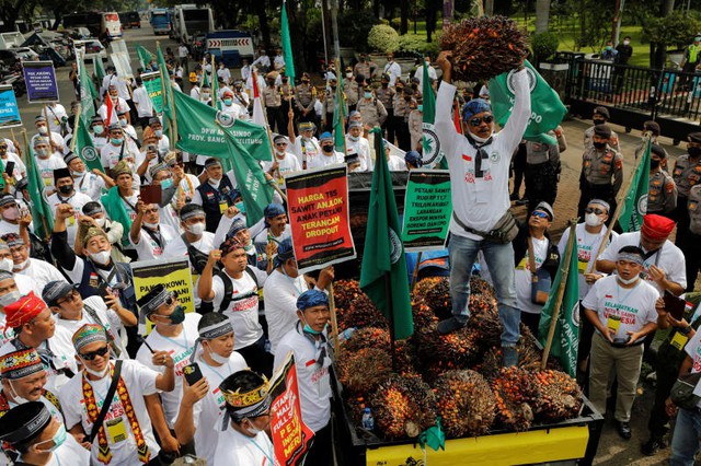 Nông dân Indonesia biểu tình phản đối lệnh cấm xuất khẩu dầu cọ

 - Ảnh 1.