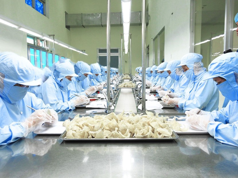 Khoai lang và tổ yến của Việt Nam được xuất khẩu chính ngạch sang Trung Quốc - Ảnh 1.