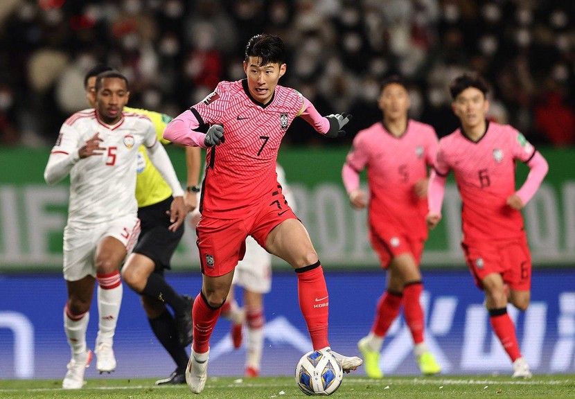 World Cup 2022: Nhận định, soi kèo trận Uruguay vs Hàn Quốc, 20h ngày 24/11 - Ảnh 1.