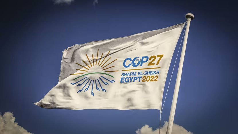 Khai mạc hội nghị COP27, 5 điều cần biết - Ảnh 1.