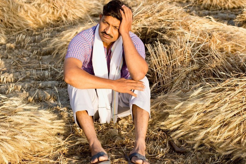 Người Ấn Độ tranh cãi sau khi chính phủ 'quay xe' cấm xuất khẩu lúa mì - Ảnh 1.