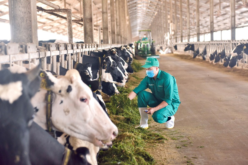 Mô hình phát triển bền vững "Vinamilk Green Farm" được chia sẻ tại hội nghị sữa toàn cầu - Ảnh 6.