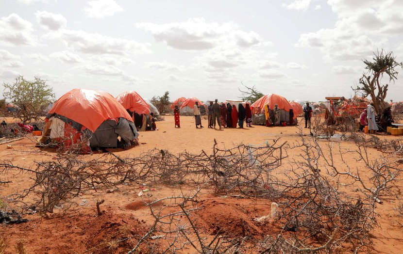 Khoảng 213.000 người Somalia có nguy cơ chết đói, vì hạn hán và giá lương thực tăng cao - Ảnh 1.