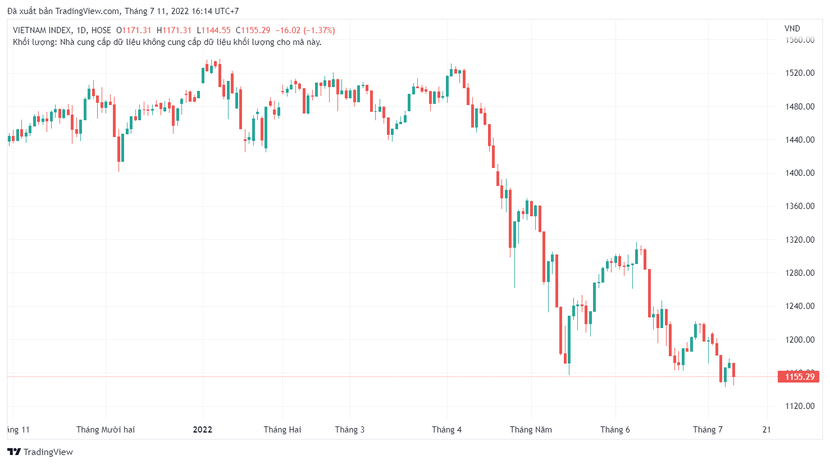 Chứng khoán hôm nay 11/7: VN-Index giảm 1.155,29 điểm - Ảnh 1.