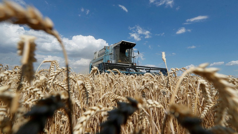 Gần đến vụ thu hoạch, vấn đề xuất khẩu lúa mì của Ukraina lại 'nóng' lên - Ảnh 3.