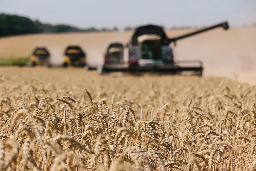 Ukraina và Nga sắp đạt được thỏa thuận về xuất khẩu ngũ cốc - Ảnh 1.