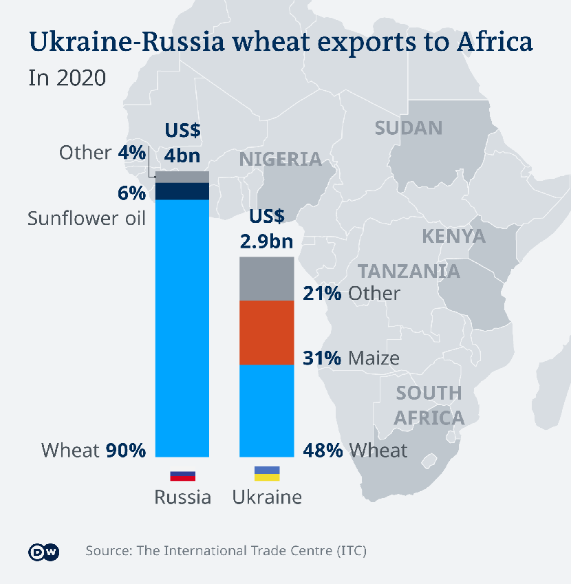 Ngũ cốc của Ukraina có vai trò như thế nào đối với thế giới - Ảnh 3.