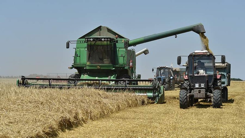 Nga vẫn có thể đạt kỷ lục trong vụ thu hoạch ngũ cốc năm 2022 - Ảnh 1.