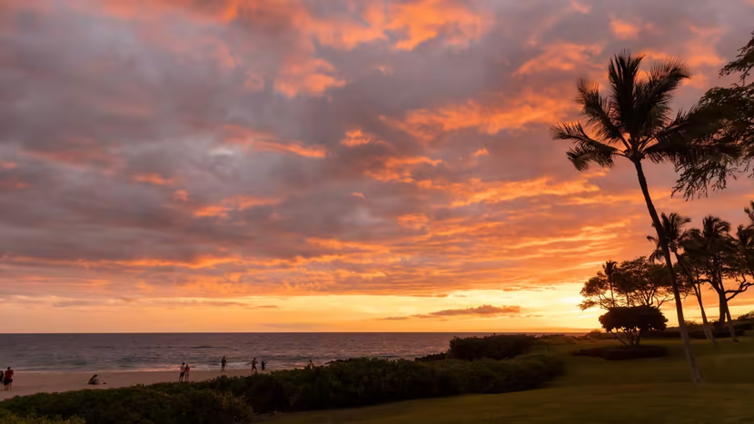 Đại dịch giúp khôi phục thiên nhiên ở Hawaii, thay đổi ngành du lịch - Ảnh 1.
