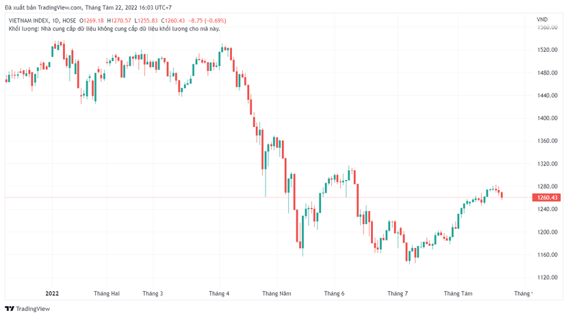 Chứng khoán hôm nay 22/8: Thị trường ngập sắc đỏ, VN-Index giảm hơn 8 điểm. - Ảnh 1.